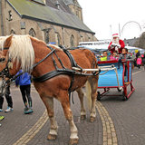 IMG_7510.JPG
