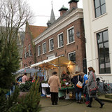 IMG_7531.JPG