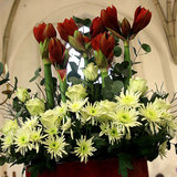 IMG_7547.JPG