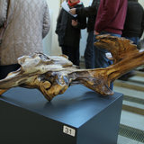 IMG_7552.JPG