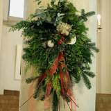 IMG_7561.JPG