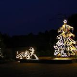 IMG_3899.jpg