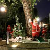 IMG_3926.jpg