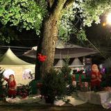 IMG_3928.jpg