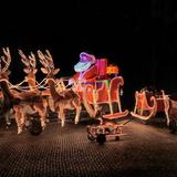 IMG_3937.jpg