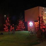 IMG_3939.jpg