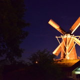 DSC_0484.JPG