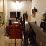 DSC_0486.JPG