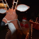 DSC_0526.JPG