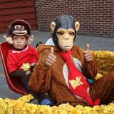 IMG_3772.jpg