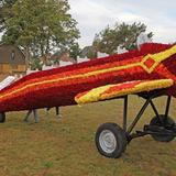 IMG_3791.jpg