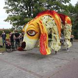 IMG_3800.jpg