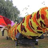IMG_3830.jpg