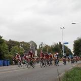 IMG_5384.jpg