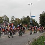 IMG_5389.jpg