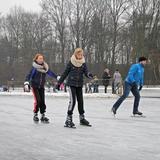 IMG_8701.jpg