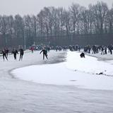IMG_8733.jpg