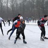 IMG_8784.jpg
