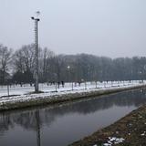 IMG_8790.jpg