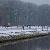 IMG_8794.jpg