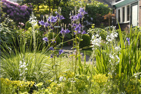 Toch open tuin!