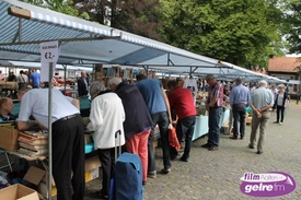 Veel belangstelling voor particuliere boekenmarkt, Bredevoort.