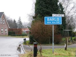 Kleurrijke optocht tijdens Oranjefeest in Barlo.