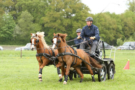 Weekend vol paardenspektakel bij de Slingeplas