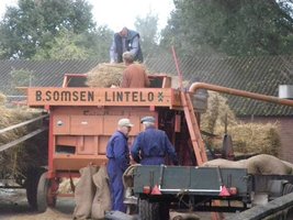 Ouderwets dorsen bij 't Romienendal in Dale.
