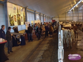 Open Dag bij oud Aaltenaren in Roswinkel, Drenthe