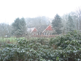 Tweede Adventmiddag bij Landgoed Eppink 