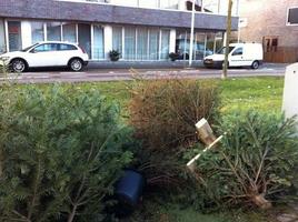 AVA`70 VERZAMELT KERSTBOMEN IN AALTEN