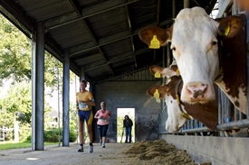 Inschrijving derde editie ABN AMRO Marathon Nationaal Landschap geopend