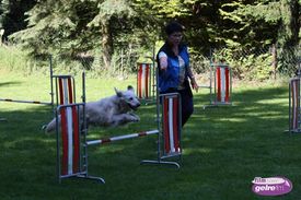 Behendigheids training bij DOAK 07-06-2014