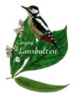 Lansbulten Fair op 1e Pinksterdag