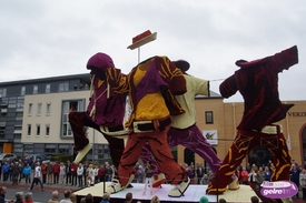 Schitterend Bloemencorso Volksfeest Winterswijk 2014