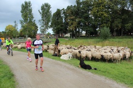 Succesvolle 3e editie ABN AMRO Marathon Nationaal Landschap