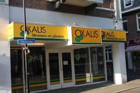 Bloemen- en plantenwinkel van Oxalis failliet