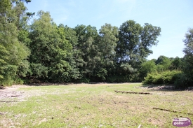 Vennetje Loohuisbos staat droog