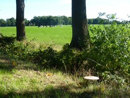 Wandelen in de herfst