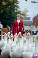 Nog even nagenieten van de Slag om Grolle