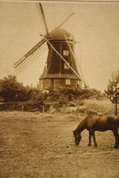Zoekplaatje: waar stond deze molen?