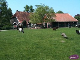 Kinderboerderij De Ahof geen dump plek