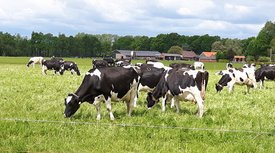 Open Boerderijdag bij De Neeth in Barlo.