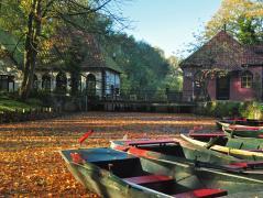 Veelzijdige wandeling Buskersbos, Bleekweide, Borkense Baan