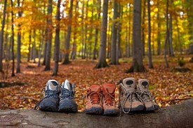 VVV Dinxperlo organiseert herfstwandeltocht in de Heurne