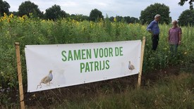 Patrijzenproject valt in de prijzen