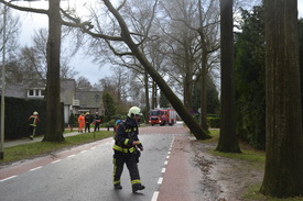 Foto's: Storm trof de Achterhoek