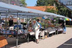Een zonnige en goed bezochte boekenmarkt in Bredevoort