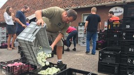 Honderdduizenden bloemen te weinig voor corso in Rekken